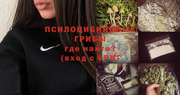 соль курить ск Белокуриха