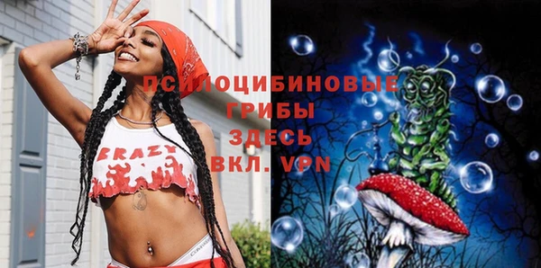 соль курить ск Белокуриха