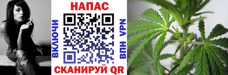 Шишки марихуана тримм  даркнет сайт  OMG ONION  Оха 